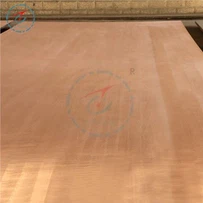 Titanbeschichtete Kupferplatte